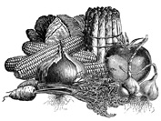 Pointillism drawing of vegetables  by David Guillemette.